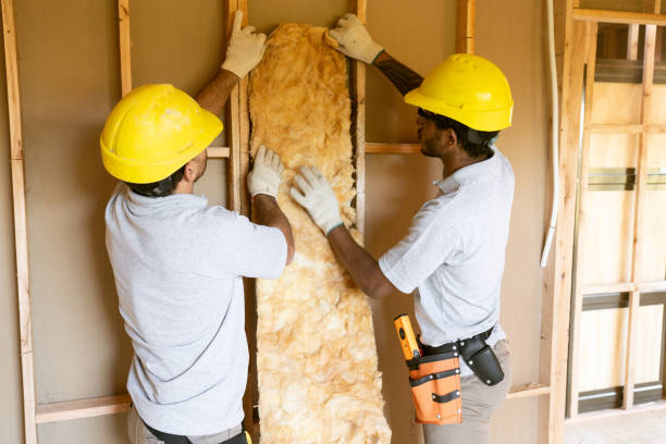 Best Insulation Removal  in Newport News, VA