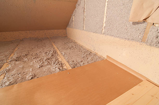 Best Crawl Space Insulation  in Newport News, VA